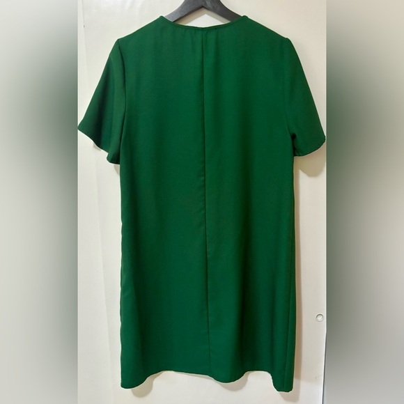 Dynamite| Flutter Sleeve T-Shirt Style Dress in Grass Green Sz M - Picture 5 of 5